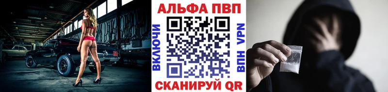Альфа ПВП СК КРИС  Кимры 