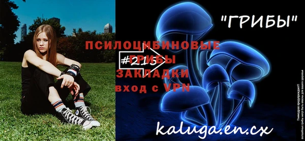 крисы Алексеевка