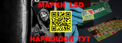 PSILOCYBIN Кунгур