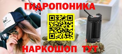 PSILOCYBIN Кунгур