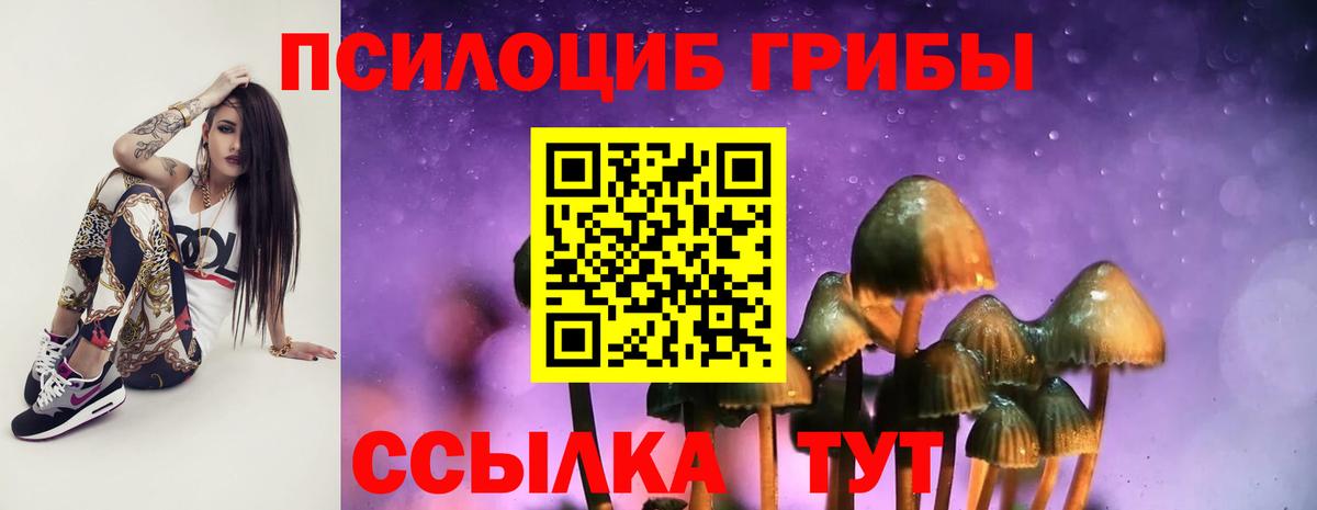 Кимры  Галлюциногенные грибы Psilocybe  Псилоцибиновые грибы MAGIC MUSHROOMS  Вход с VPN 